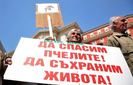 Başbakanlık binası önünde arılı eylem