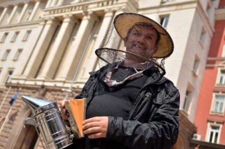 Başbakanlık binası önünde arılı eylem