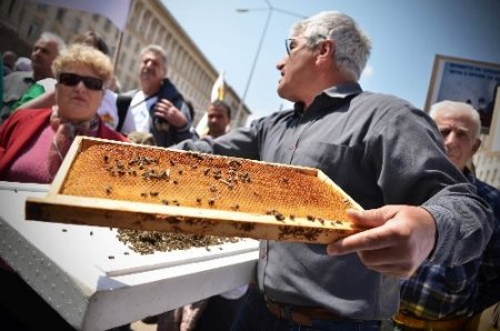 Başbakanlık binası önünde arılı eylem
