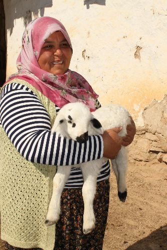 Başbakanlık'a Dilekçe Yazdı, Kendi Çiftliğini Kurdu
