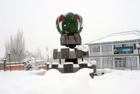Başkale'de kar yağışı: Taşımalı eğitime bir gün ara verildi, 25 köy yolu kapandı