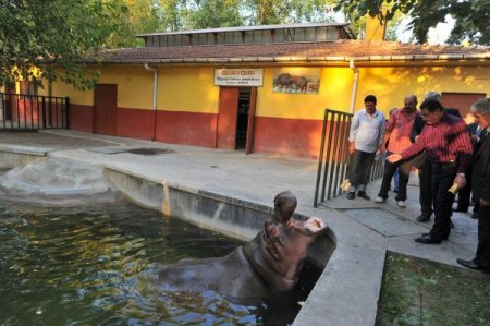 Başkan Gökçek Hayvanat Bahçesi’ni gezdi