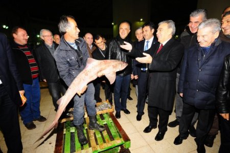 Başkan Kocaoğlu ve Demirtaş, güneş doğmadan halleri gezdi