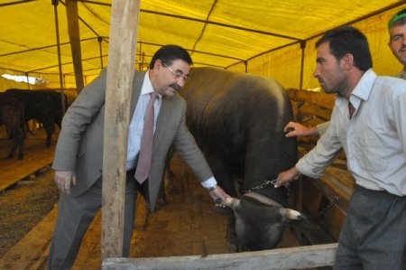 Başkan Odabaşı kurban alanını denetledi