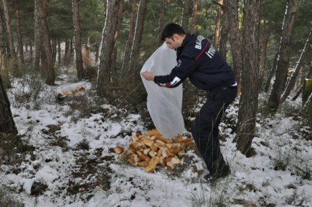 Başkan Ok, yaban hayvanları için kent ormanına bayat ekmek bıraktı