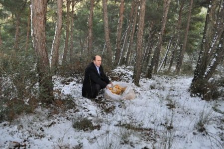 Başkan Ok, yaban hayvanları için kent ormanına bayat ekmek bıraktı
