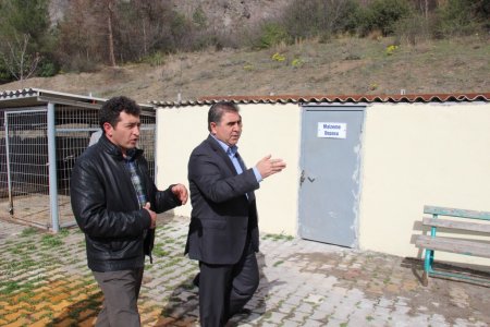 Başkan Özdemir: Hayvanseverler barınaktan hayvan alabilir