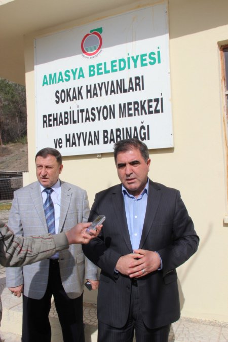 Başkan Özdemir: Hayvanseverler barınaktan hayvan alabilir