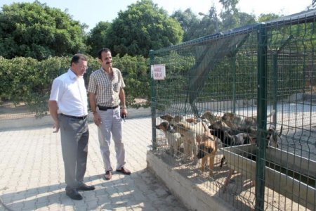 Başkan Savaş Belediye Hizmetlerini Yerinde İnceledi