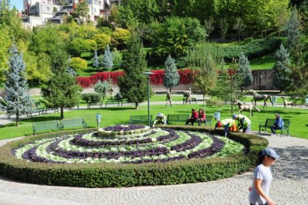 Başkent kışlık çiçeklerle süsleniyor