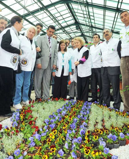 Başkent'in geleneksel ‘bahçıvanlık kursları’ başlıyor