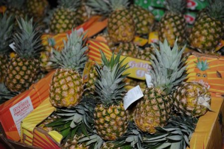 Başkentli Tropikal Meyveleri Sevdi