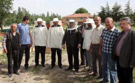 Başkentli üreticilere 16 bin 500 kovan kafkas ırkı arı dağıtıldı