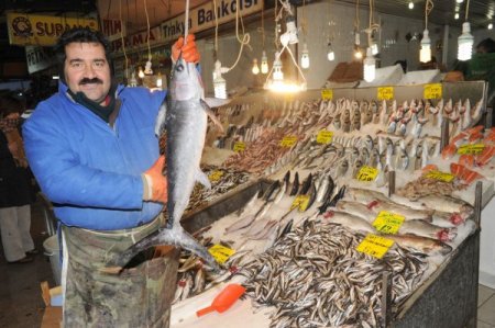Başkentlilerin Balıkta Tercihi Hamsi