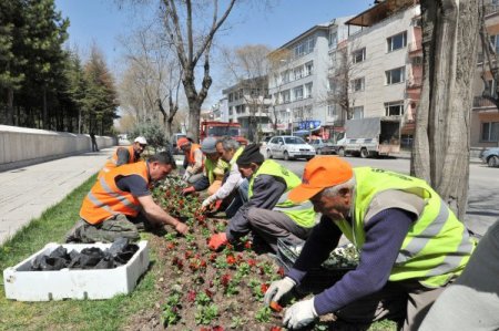 Başkent'te Bu Yıl 12 Milyon Çiçek Dikilecek