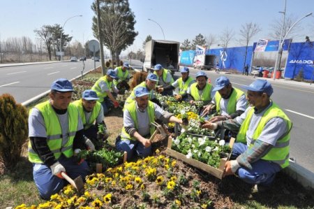 Başkent'te Bu Yıl 12 Milyon Çiçek Dikilecek