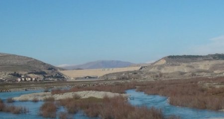Batman Çayı'nda yem arayan kuşlar, renkli görüntüler oluşturuyor