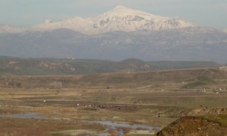 Batman Çayı'nda yem arayan kuşlar, renkli görüntüler oluşturuyor