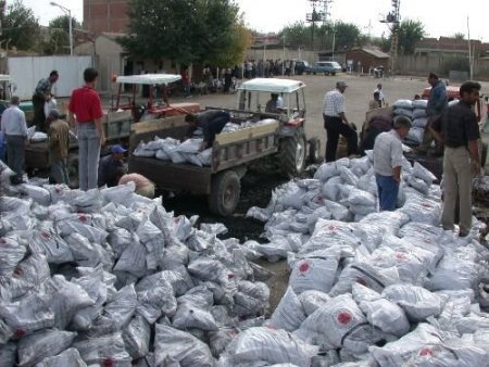 Batman'da 21 Bin 500 Aile Kömür Yardımından Faydalanacak