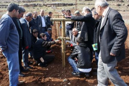 Batman'da Çiftçilere Telli Terbiye Sistemi Konusunda Eğitim Verildi