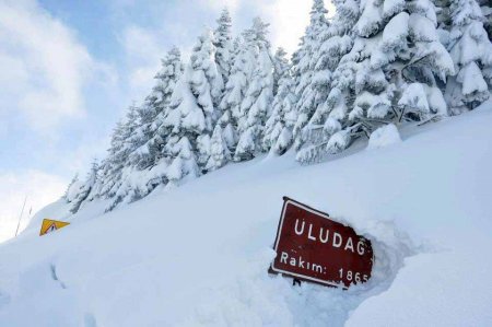 BAÜ Kuş Gözlem ve Doğa Topluluğu öğrencileri Uludağ Milli Parkı'nı gezdi