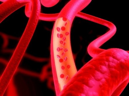 'Bayanlarda daha fazla görülen kansızlık yazın dahi üşümeye neden oluyor'