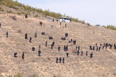 Bayburt polisi, 2000 fidan dikti