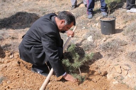 Bayburt polisi, 2000 fidan dikti