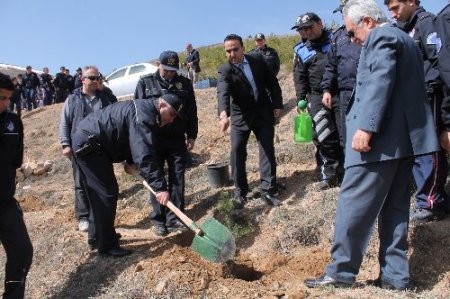 Bayburt polisi, 2000 fidan dikti