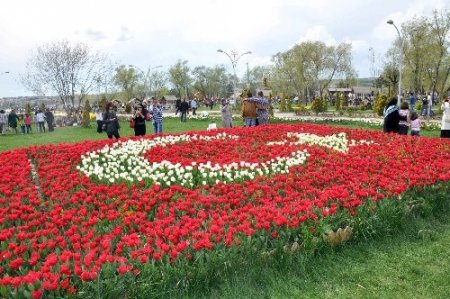Bayrak motifli lalelerle hatıra fotoğrafı