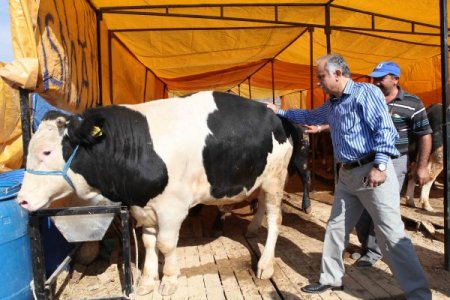Bayraklı Belediyesi Kurban Bayramı'na hazır