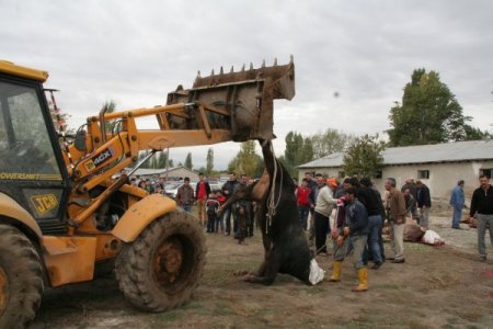 Bayram namazı ardından vatandaşlar kurbanlıklarını kesti
