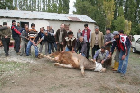 Bayram namazı ardından vatandaşlar kurbanlıklarını kesti