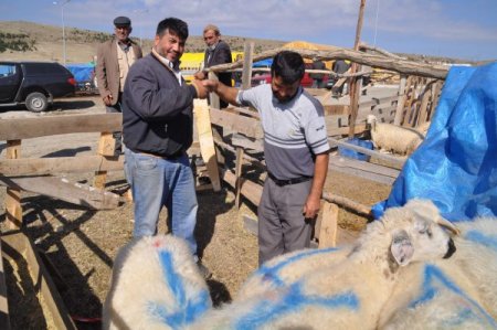 Bayram yaklaştı bıçaklar bilenmeye, satışlar kızışmaya başladı