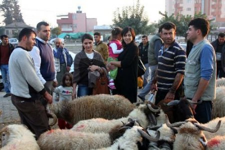 Bayramın İkinci Günü Kurban Fiyatları İndi