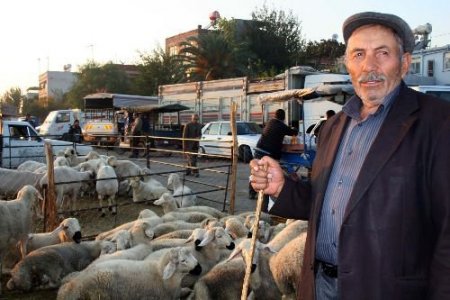 Bayramın İkinci Günü Kurban Fiyatları İndi