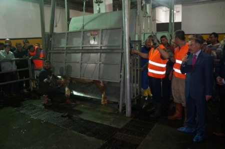 Bayrampaşa Belediyesi'nden kurban kesim tatbikatı