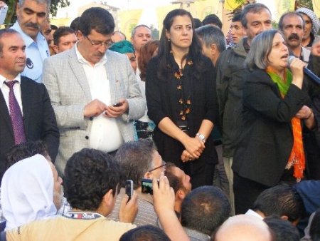 BDP Eş Genel Başkanı Kışanak çözüm sürecine destek istedi