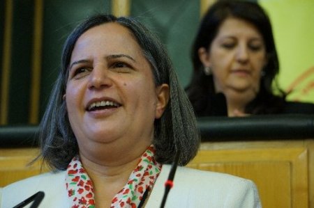 BDP Eşbaşkanı Kışanak: Akil insanlar toplumu kapsayıcı olmalı