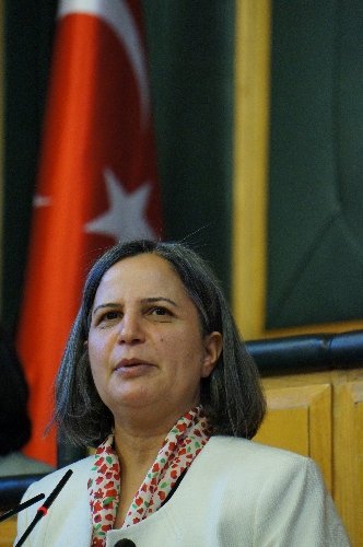 BDP Eşbaşkanı Kışanak: Akil insanlar toplumu kapsayıcı olmalı