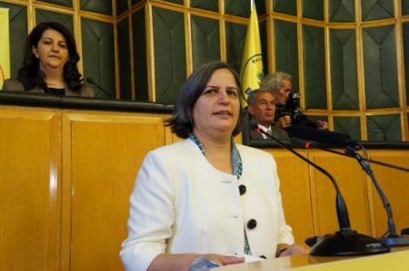 BDP Eşbaşkanı Kışanak: Güvenlik politikaları artık terk edilmeli