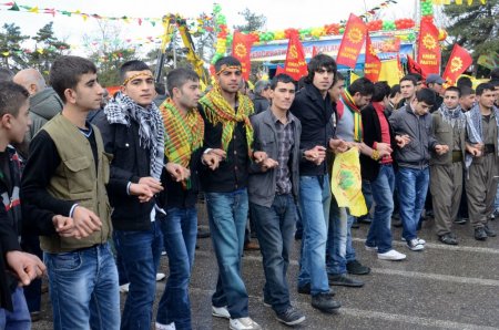 BDP'li Binici: Tek kişilik hücrede, bu müzakere başarıya gitmeyecektir