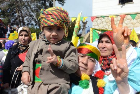 BDP'li Binici: Tek kişilik hücrede, bu müzakere başarıya gitmeyecektir