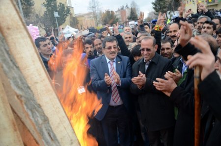 BDP'li Binici: Tek kişilik hücrede, bu müzakere başarıya gitmeyecektir