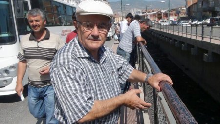 Behzat Deresi'ndeki toplu balık ölümleri korkuttu