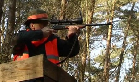 Belçika’da 200 avcı tek bir yaban domuzu avlayabildi