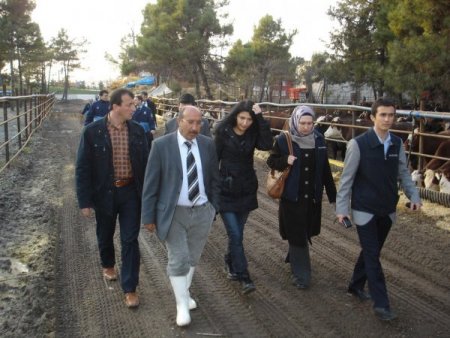 Belediye, Kötü Kokuya Sebep Olan Et Balık Sakarya Kombinası’nı Uyardı