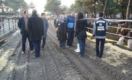 Belediye, Kötü Kokuya Sebep Olan Et Balık Sakarya Kombinası’nı Uyardı
