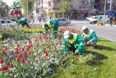 Belediye Atatürk Bulvarı'nda bakım yapıyor