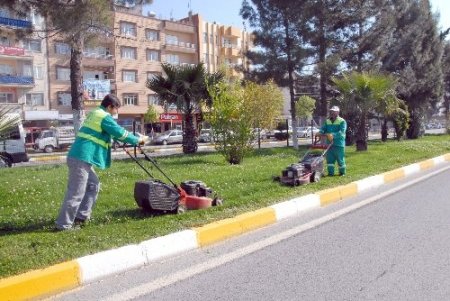 Belediye Atatürk Bulvarı'nda bakım yapıyor
